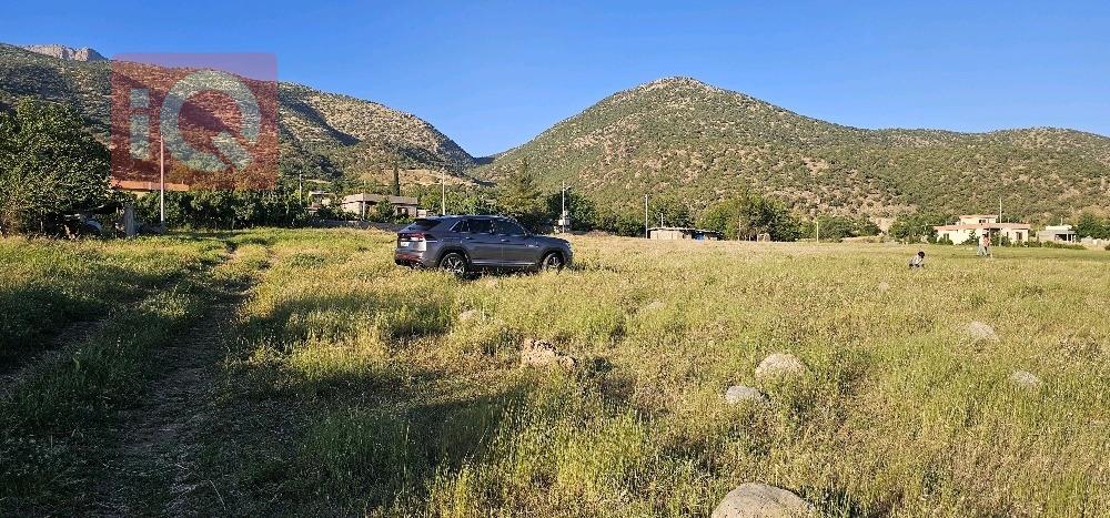 فولكسفاغن أطلس كروس سبورت